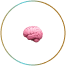 Brain