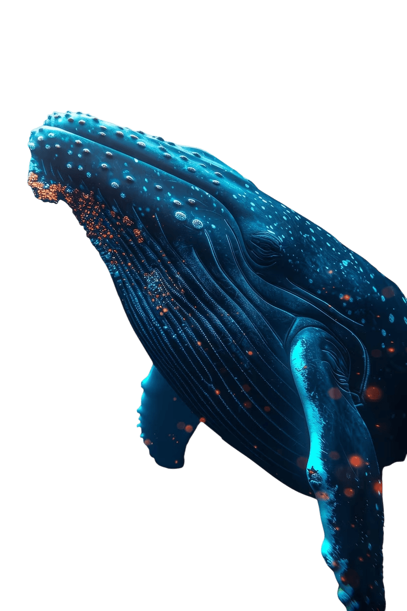 Whale background